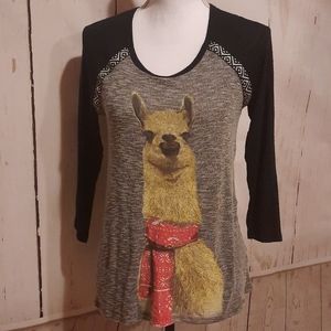 mmmmmm Blouse Sz S Alpaca Llama Gray Rayon Hi/Lo